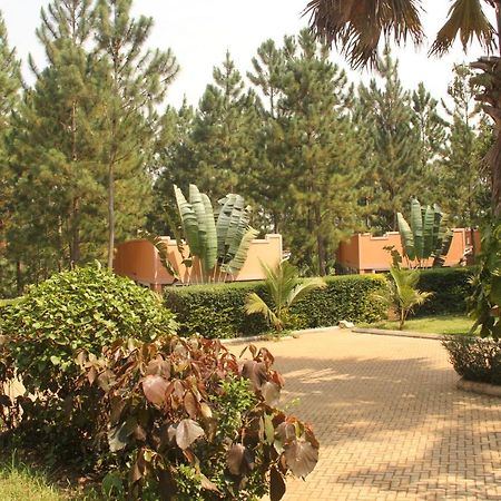 Saltek Forest Cottages Masindi Bagian luar foto