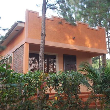 Saltek Forest Cottages Masindi Bagian luar foto