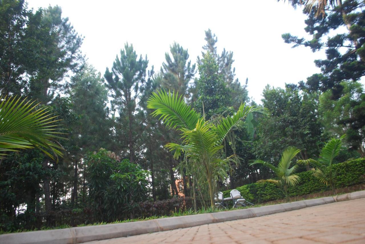 Saltek Forest Cottages Masindi Bagian luar foto