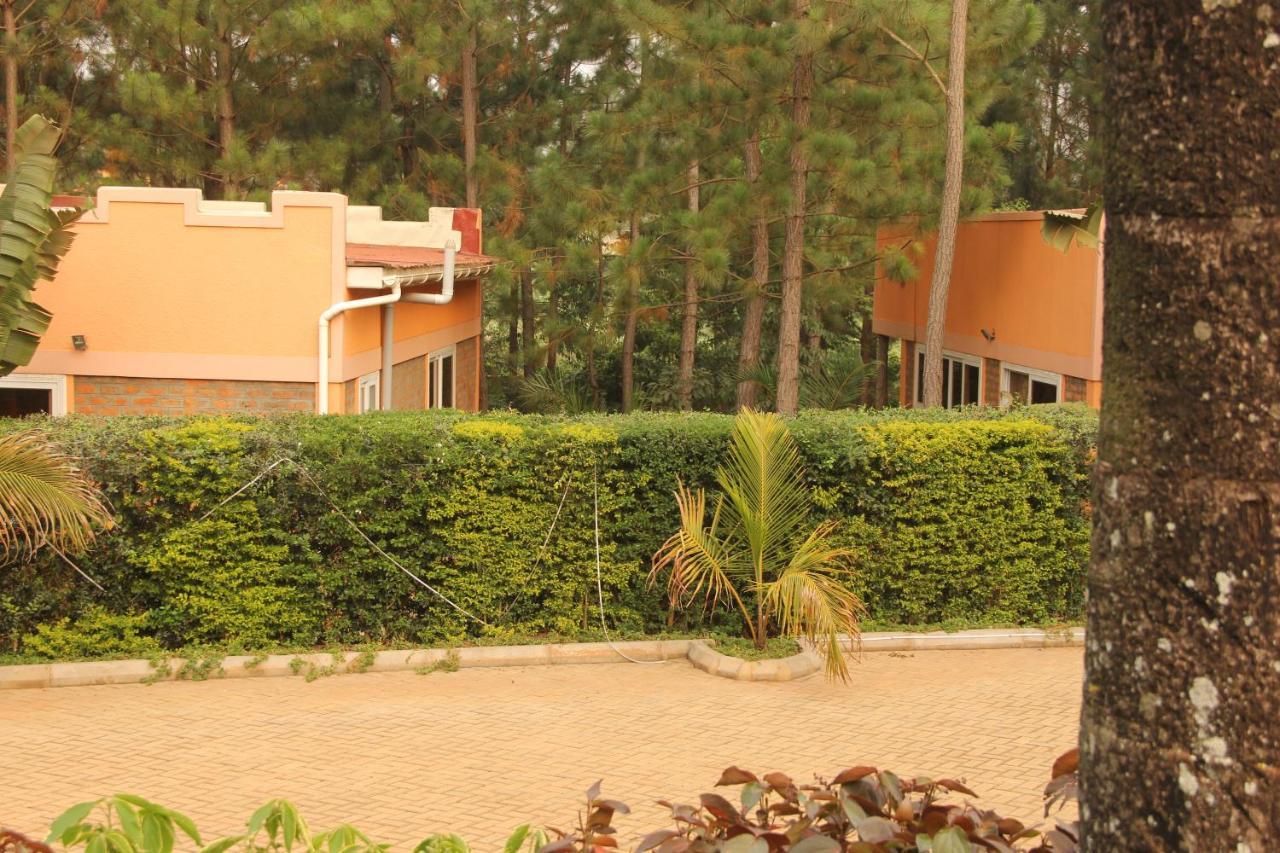 Saltek Forest Cottages Masindi Bagian luar foto